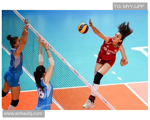 专访杨磊：深入探讨排球背后的成功秘诀与团队精神