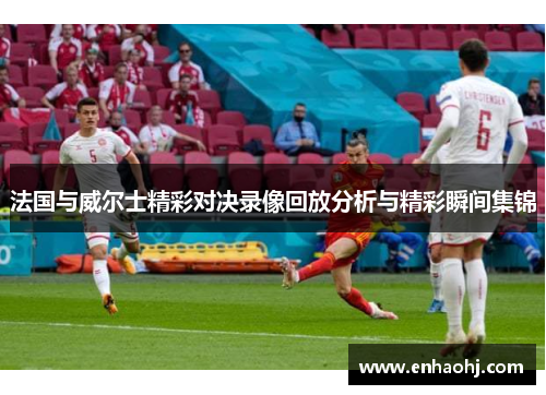 法国与威尔士精彩对决录像回放分析与精彩瞬间集锦